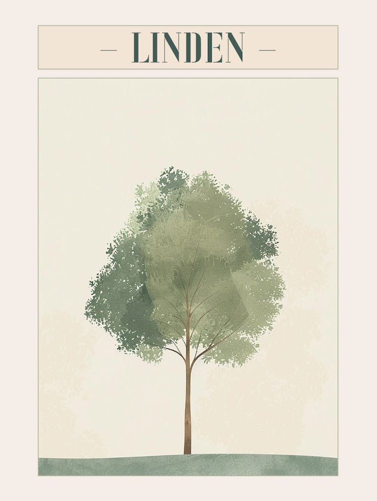 Linden Tree Minimal Japandi Illustration 2 Poster