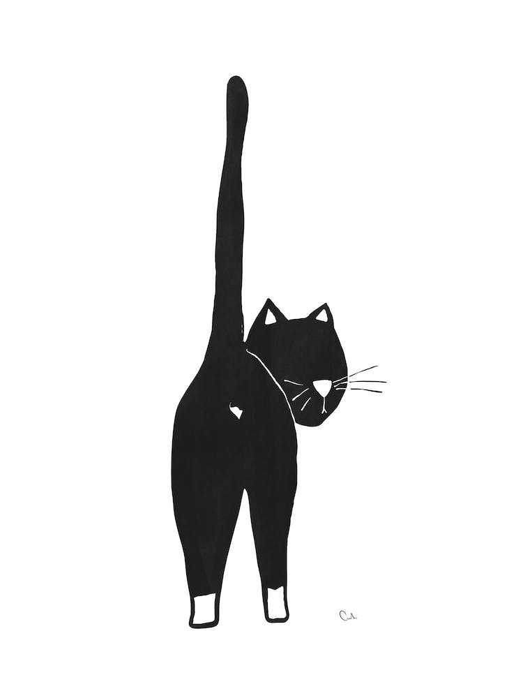 Schwarze Katze