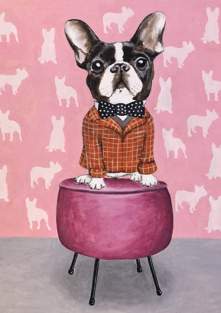Frenchie Posing