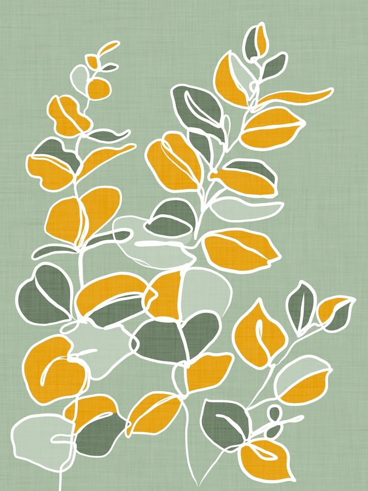 Variegated Leaves