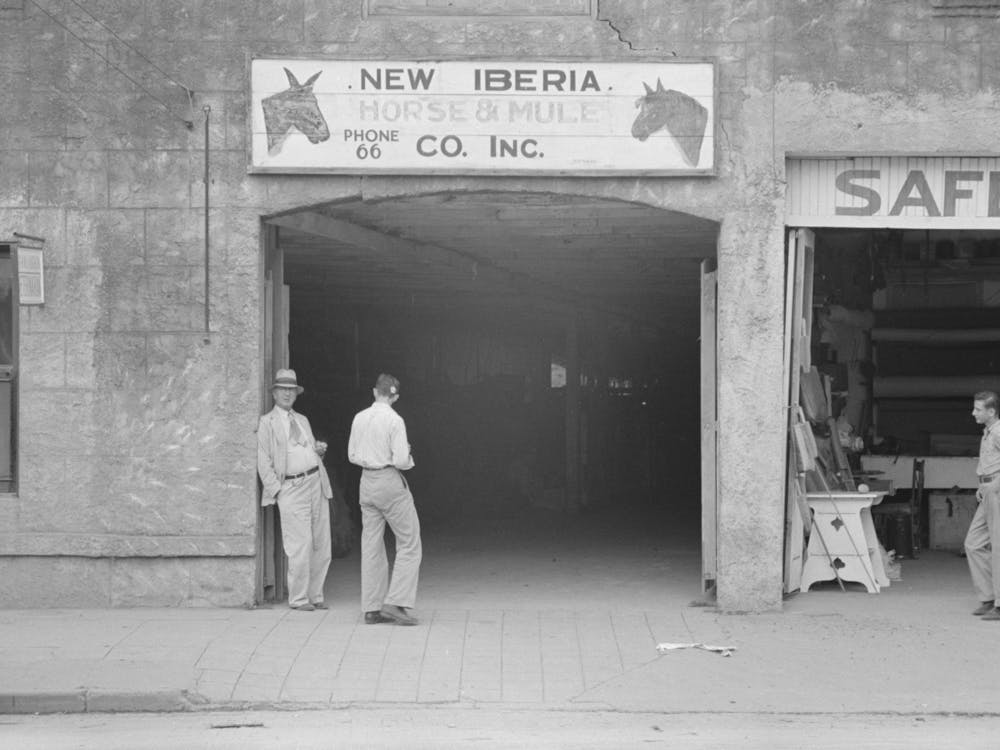 Photo Sans Titre, Peut-être Liée À La Compagnie de Chevaux Et de Mules, New Iberia, Louisiane Par Russell Lee