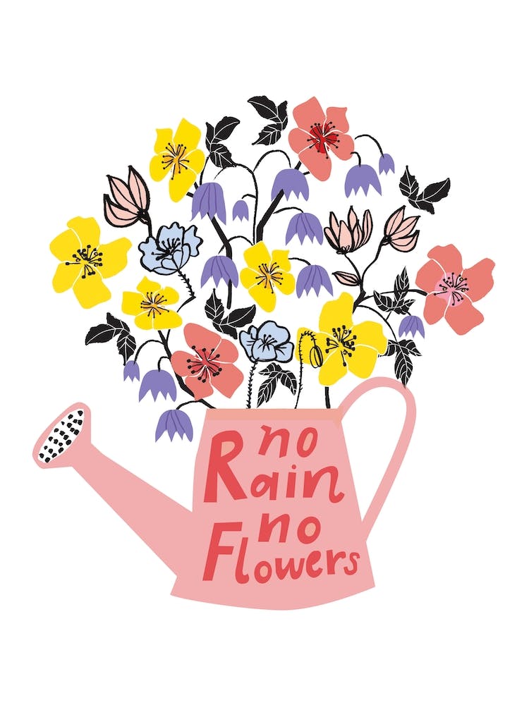 No Rain No Flowers