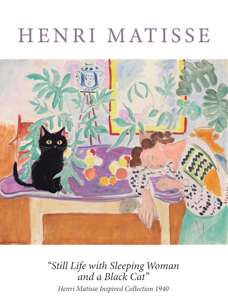 Henri Matisse Sleeping Woman With Cat Museum Poster Painting