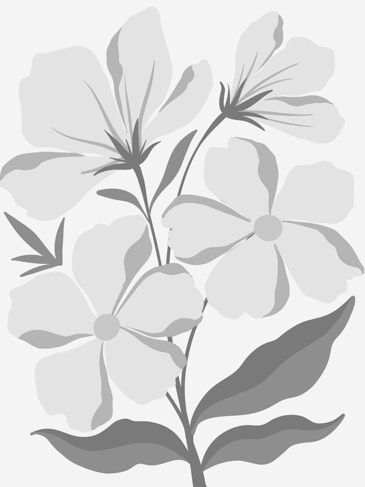 Lily Of The Valley 4
