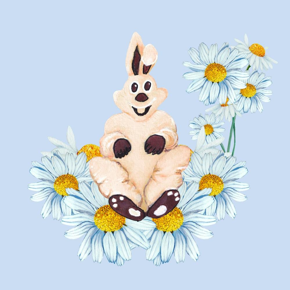 Bunny And Daisy Square