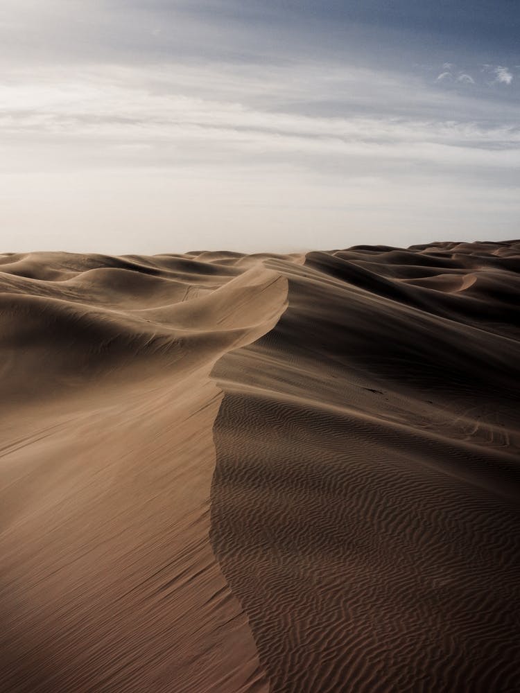 Sand Dunes In The Wind