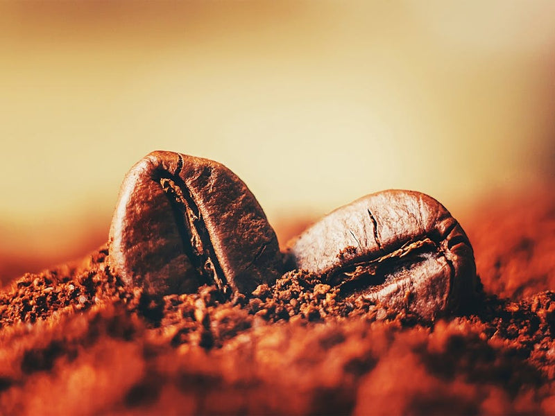 Coffee Beans — coffee poster, kitchen art print, kitchen wall decor, coffee quote, motivational poster