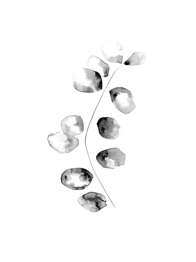 Feuilles d'eucalyptus Aquarelle