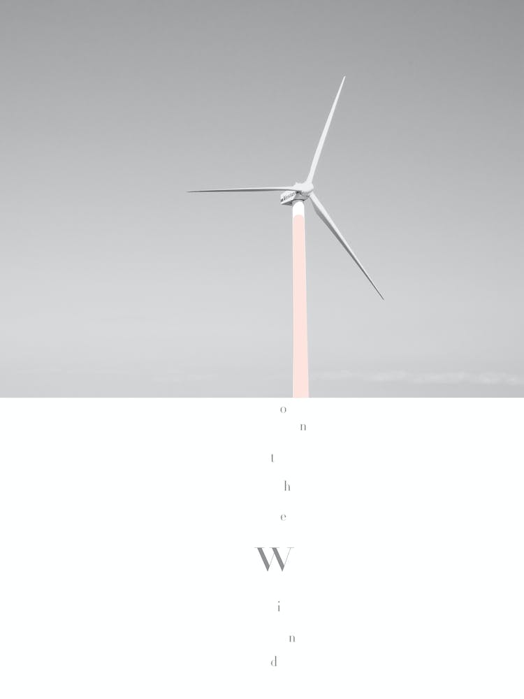 On the Wind - Photo Collage