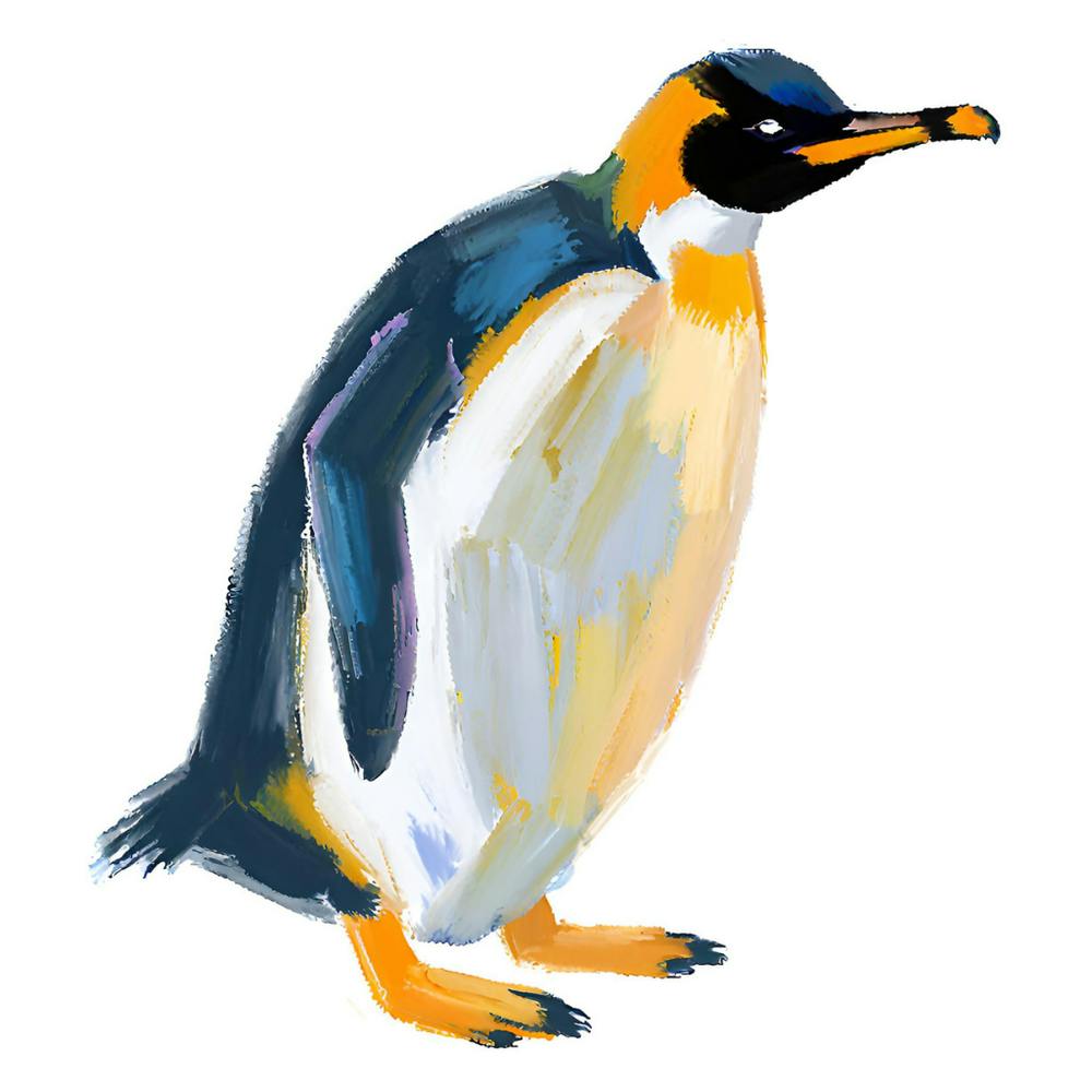 King Penguin 06