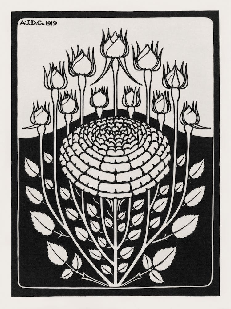 Rose Bush, Julie De Graag