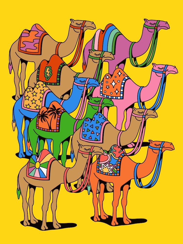 Colorful Desert Camels Colourful Morroco Sahara World Traveller Dubai