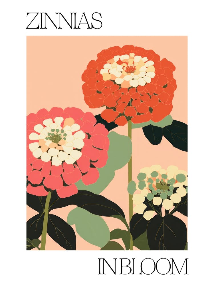 Zinnias In Bloom Flowers Bold Illustration 2