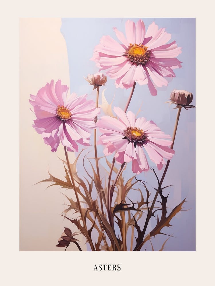 Floral Illustration Asters 5 Poster