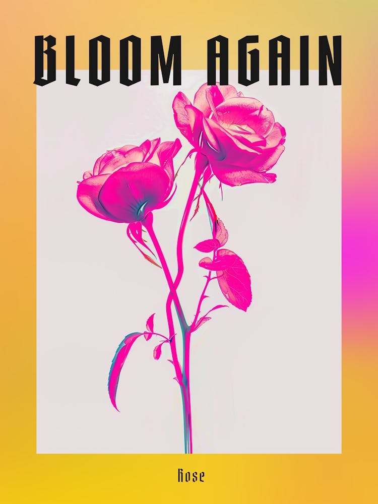 Hot Pink Rose 2 Poster