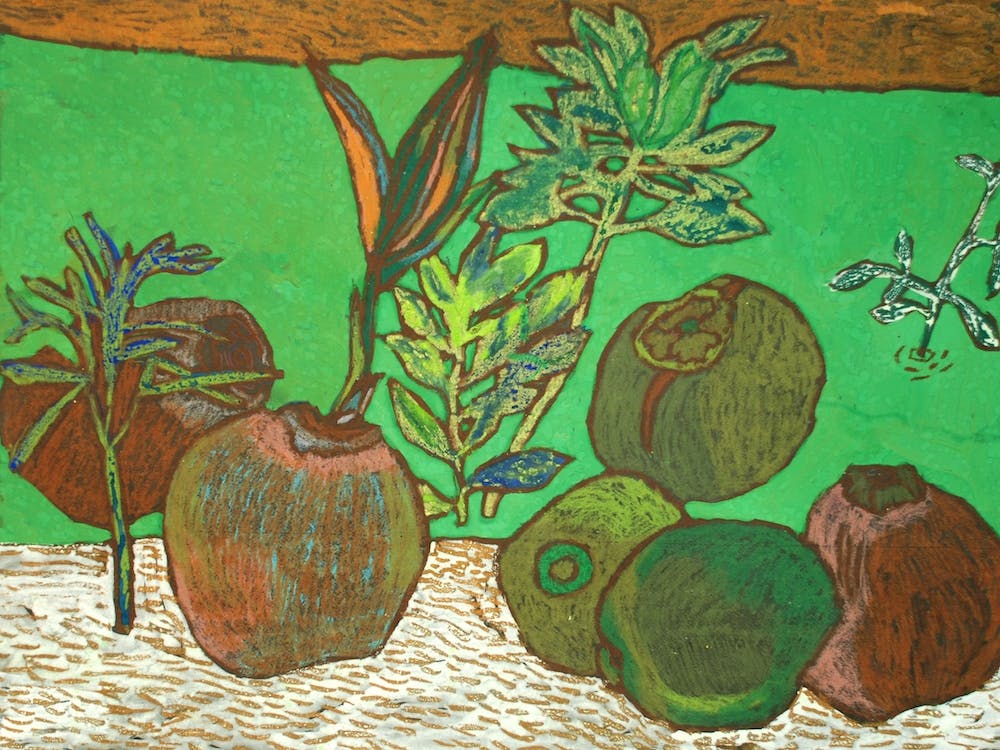 Coconuts On The Ground