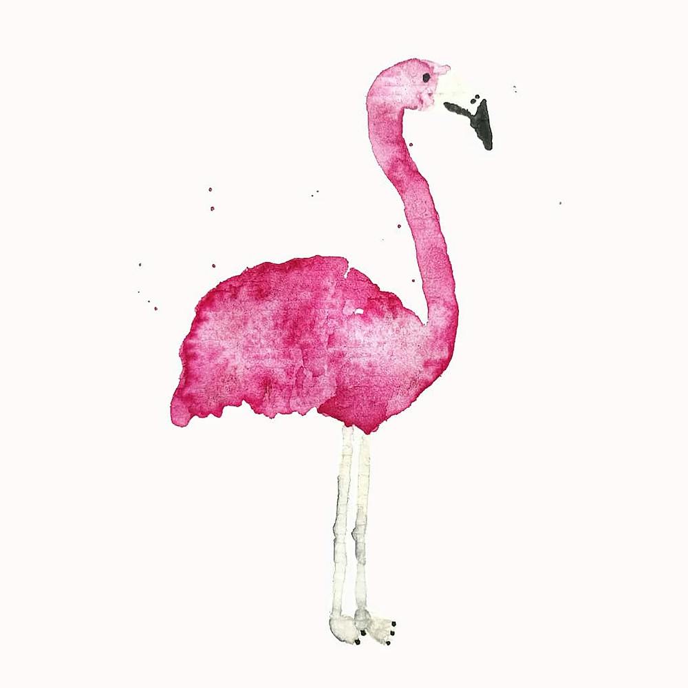 Flamingo Square