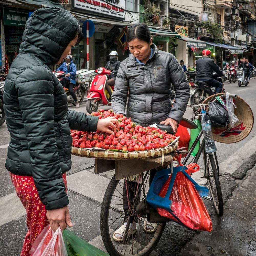 Strawberry Seller Of Hanoi Square
