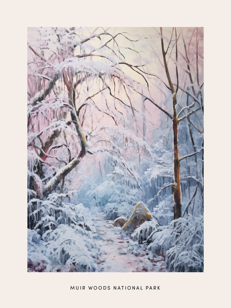Dreamy Winter National Park Poster  Muir Woods National Park United States 2