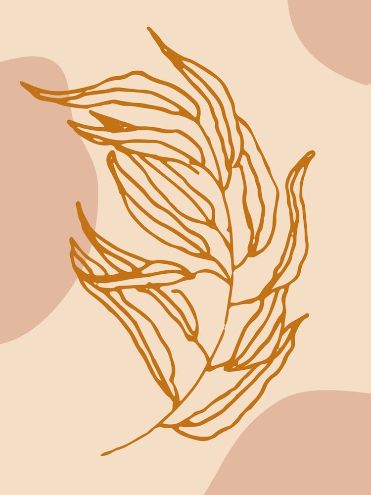 Leaf Illustration