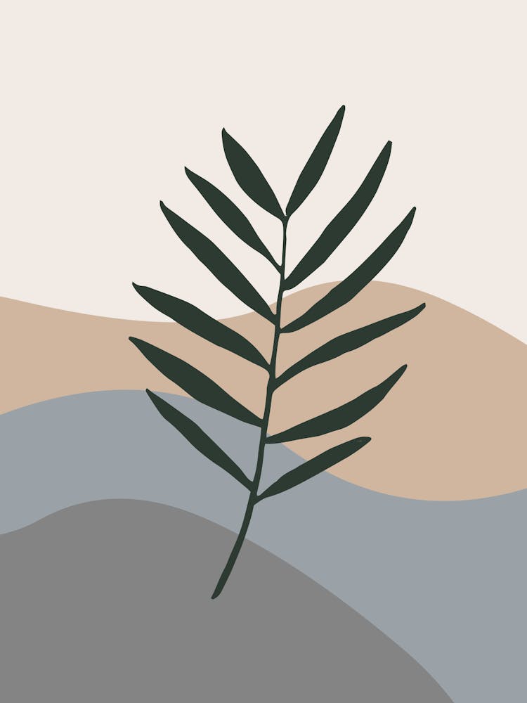Illustration Of A Palm Tree