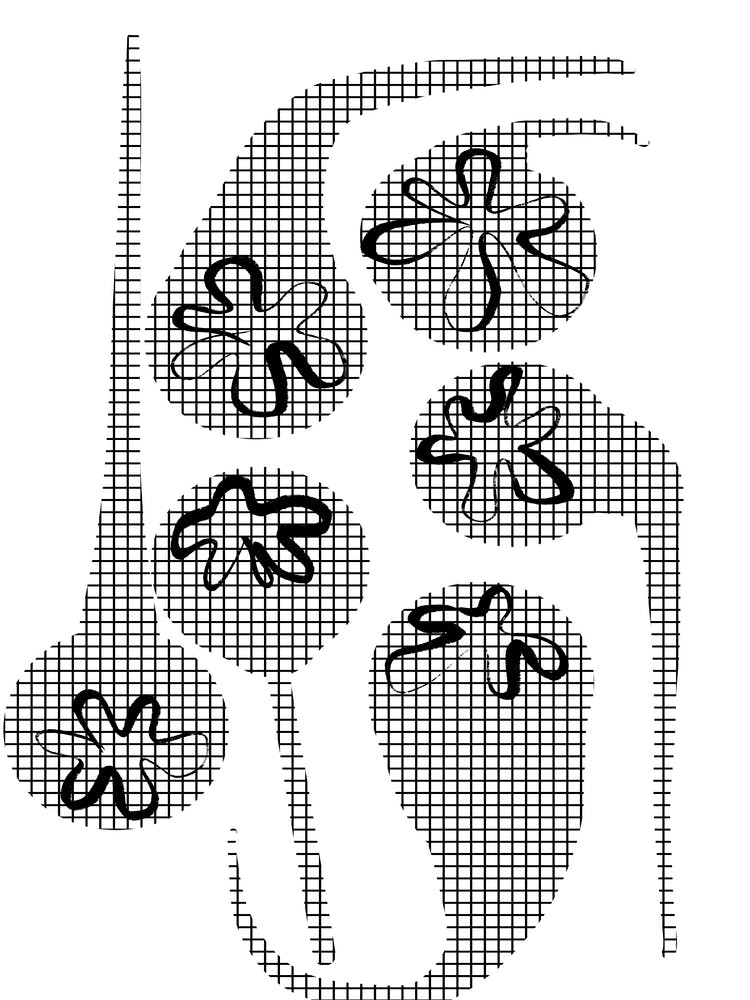 Grid Poppy