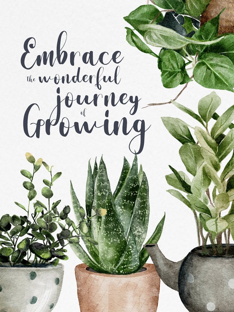 Embrace In A Wonderful Journey Growing