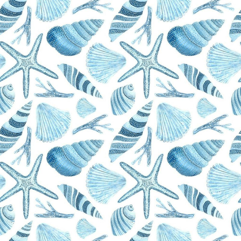 Seashells canvas