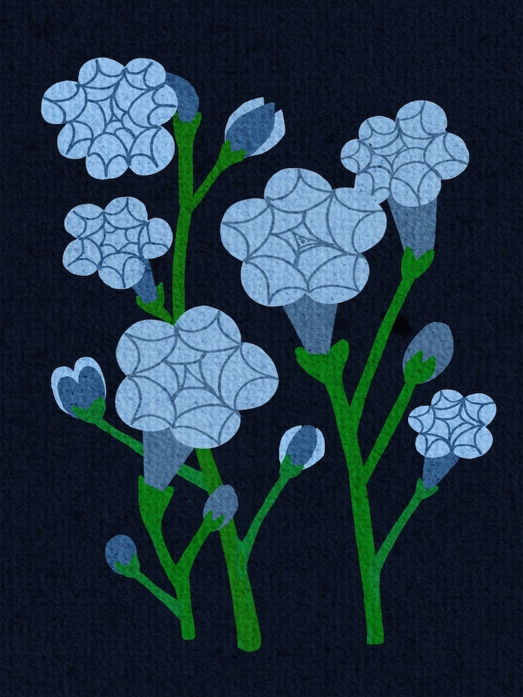 Blue Flower Garden