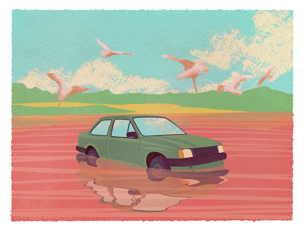 Car In The Water, birds, landscape, reflection, illustration, wall art