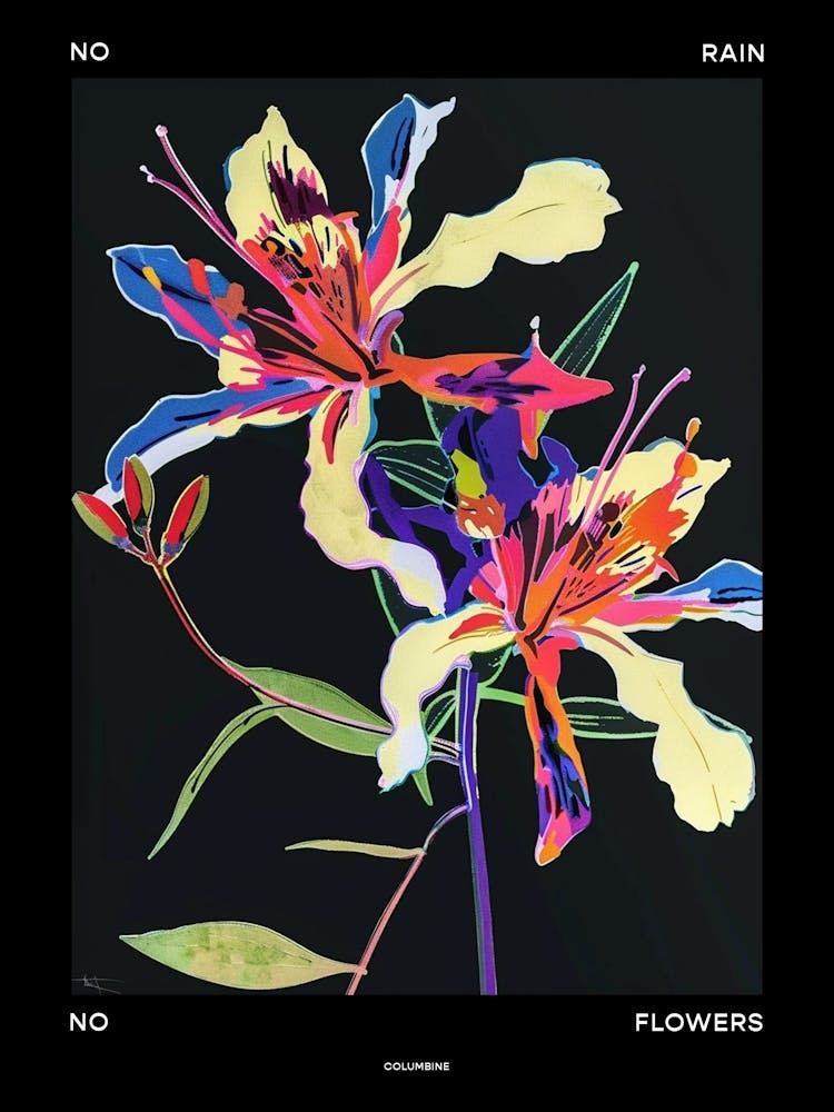 No Rain No Flowers Poster Columbine 3