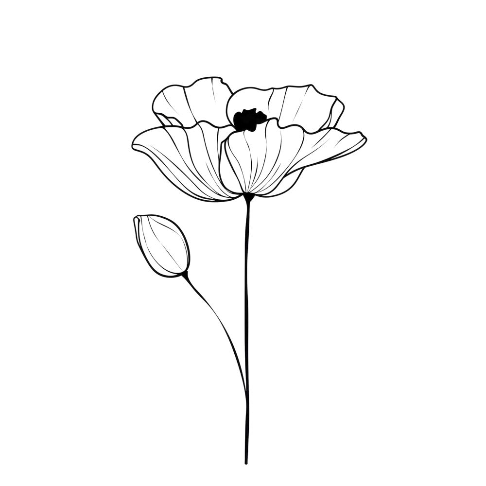 Poppy August Birth Month Flower