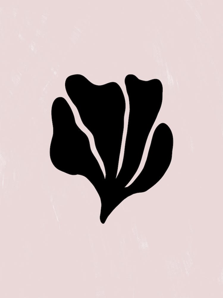 Tropical Leaf