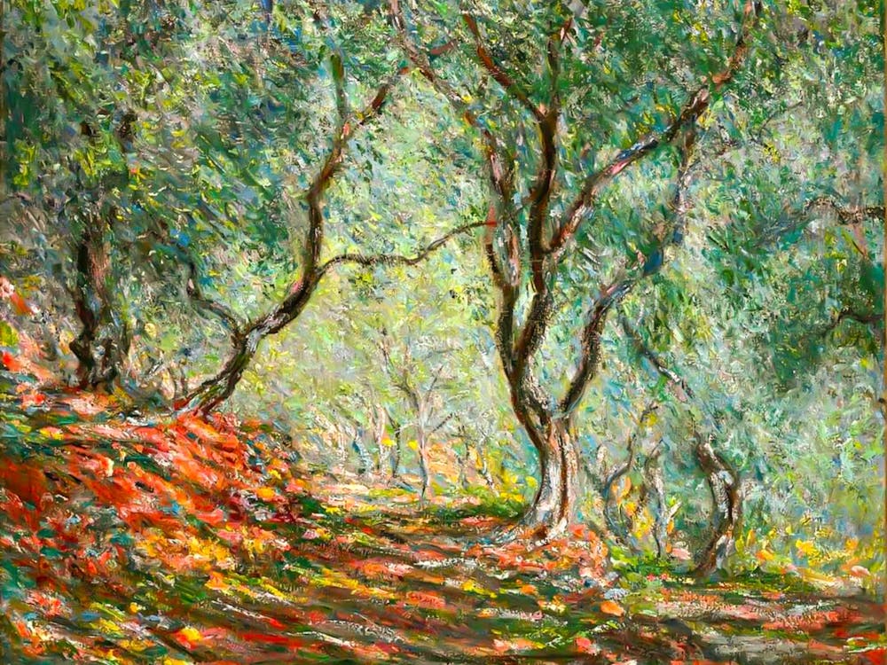 Claude Monet, Olive Tree Wood in the Moreno Garden, 1884 HD Original Reproduction - Immaculate Vibrant
