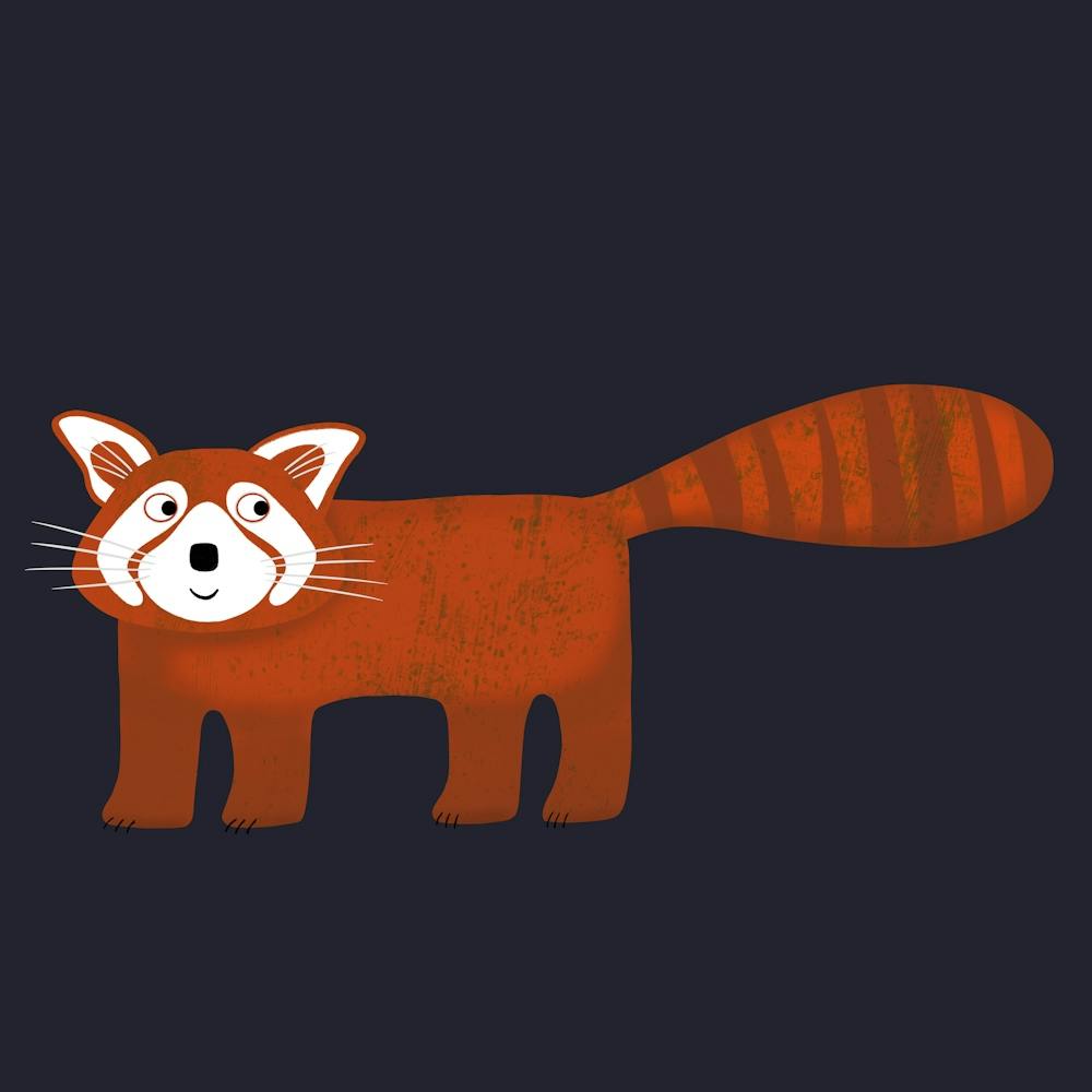Red Panda in the Dark