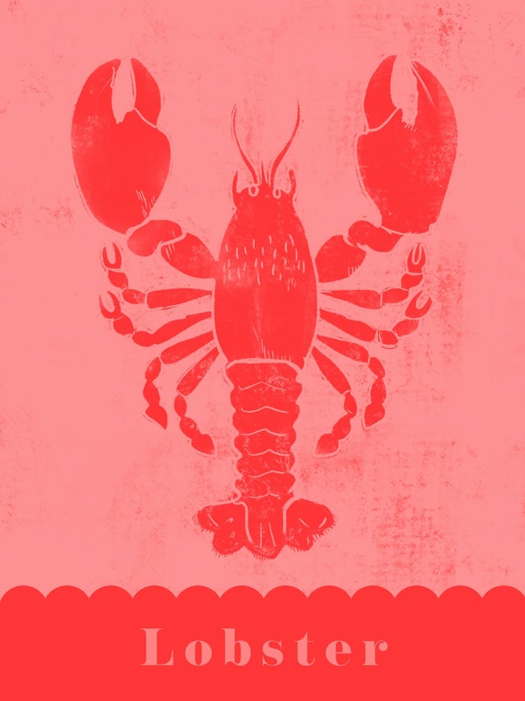 Lobster In Red And Pink