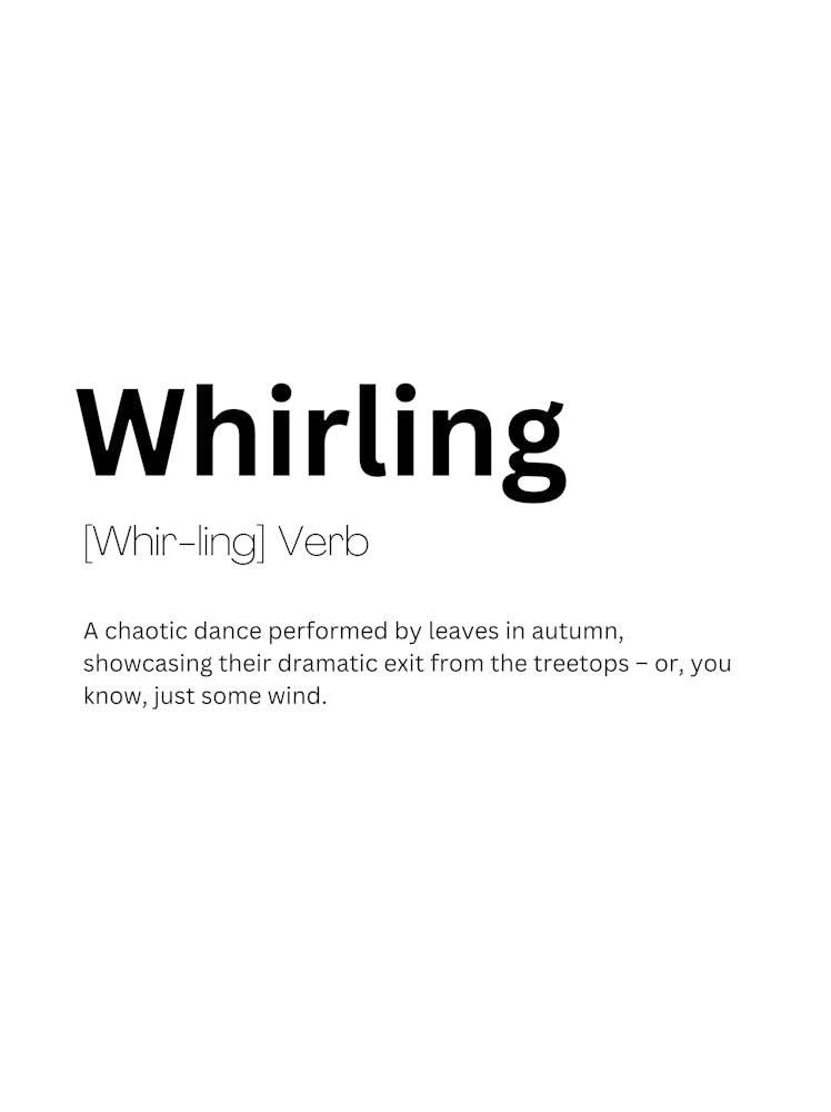 Whirling Definition Meaning