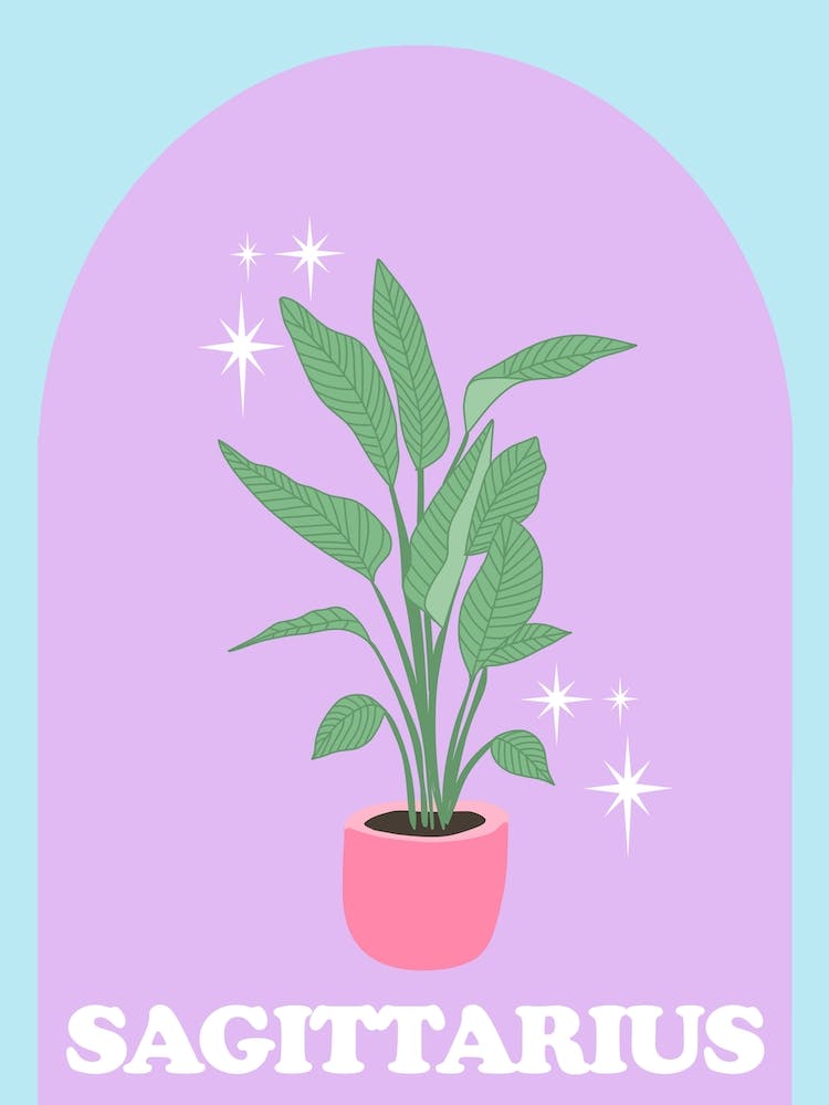 Botanical Star Sign Sagittaruis