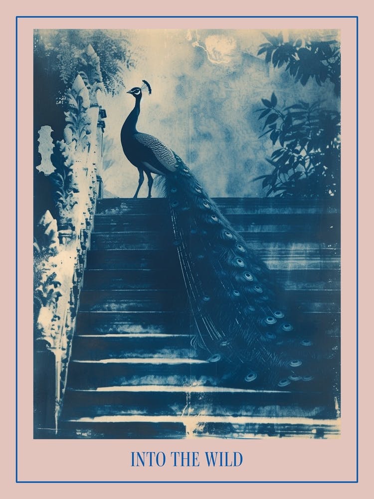 Peacock Feathers On Steps Cyanotype Inspired Poster