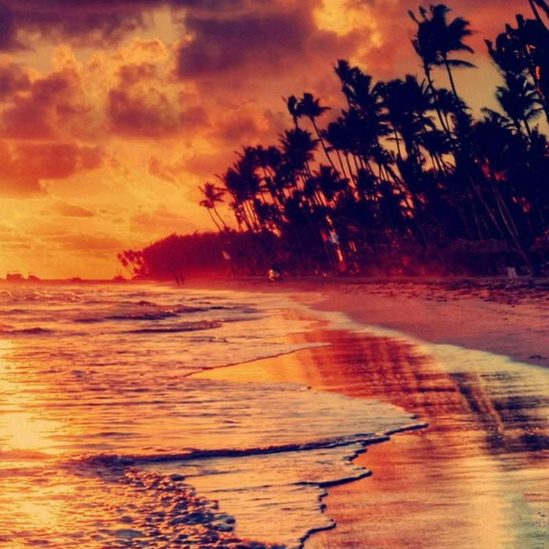 Sunset On The Beach