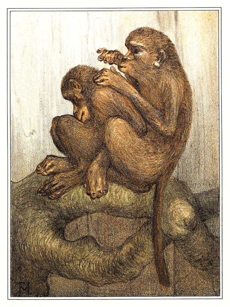 Flying Monkeys (1878–1910), Theo Van HoytemaTheo Van Hoytema