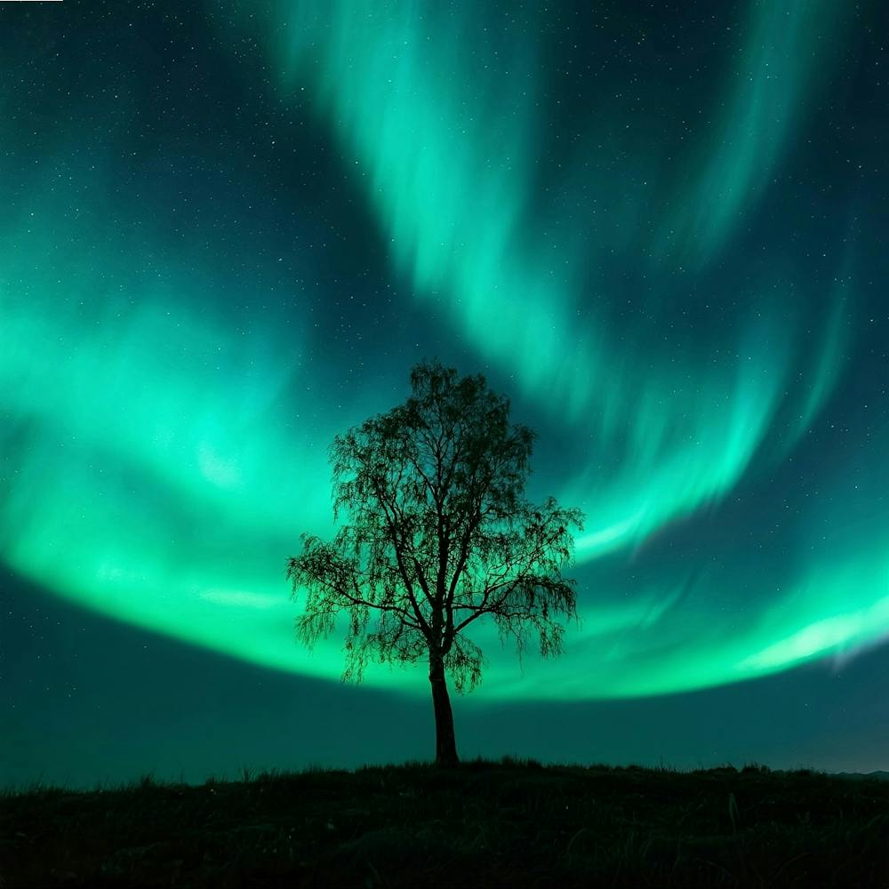 Aurora Borealis 14