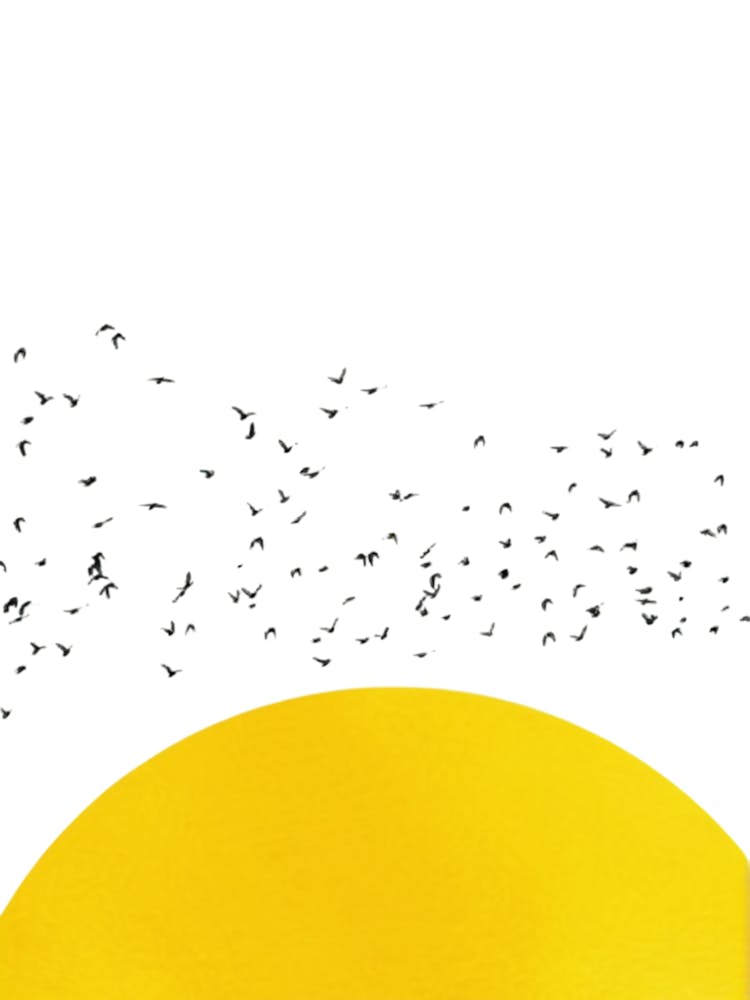 A Thousand Birds Bedroom, Birds Flying Over The Sun