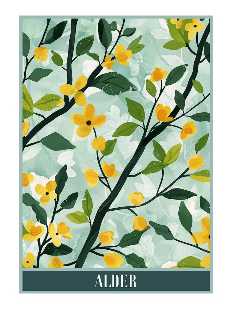 Alder Tree Flat Illustration 2 Poster