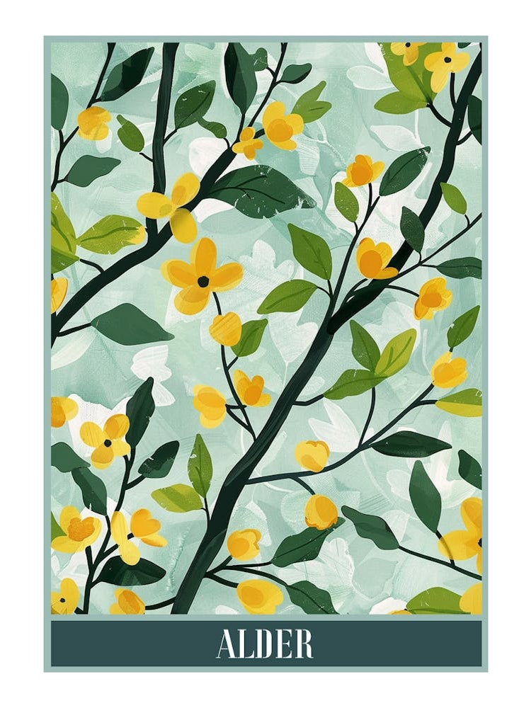 Alder Tree Flat Illustration 2 Poster