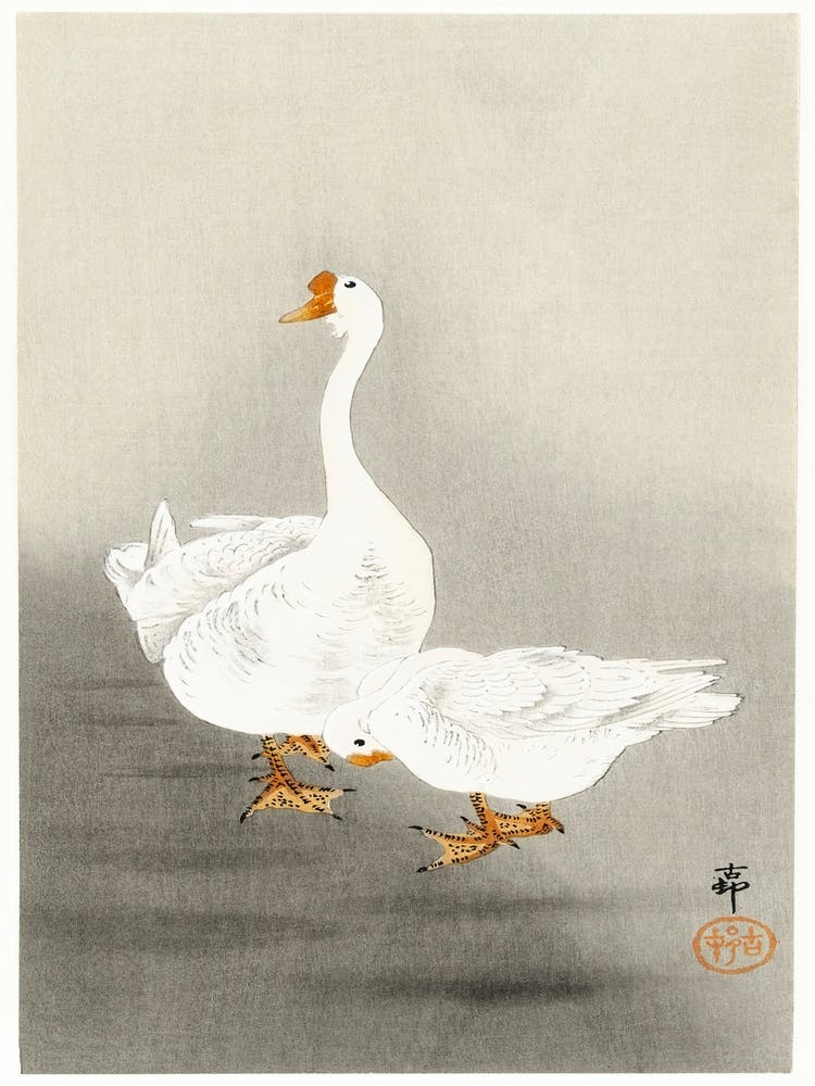 Zwei Gänse (1900 1930), Ohara Koson 1