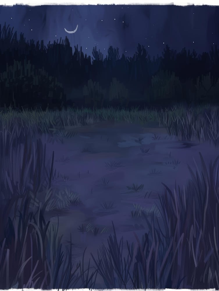 Nacht im Wald 3