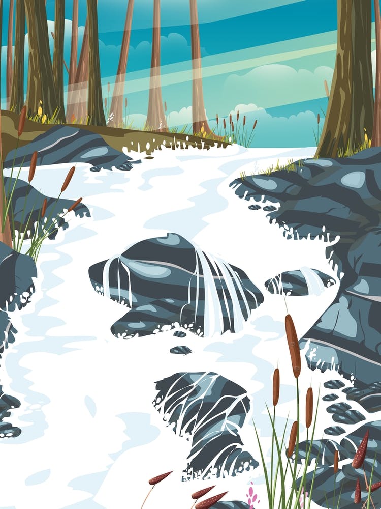 River In The Forest