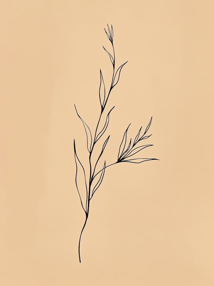 Istanbul Botanical Garden Boho Line Art