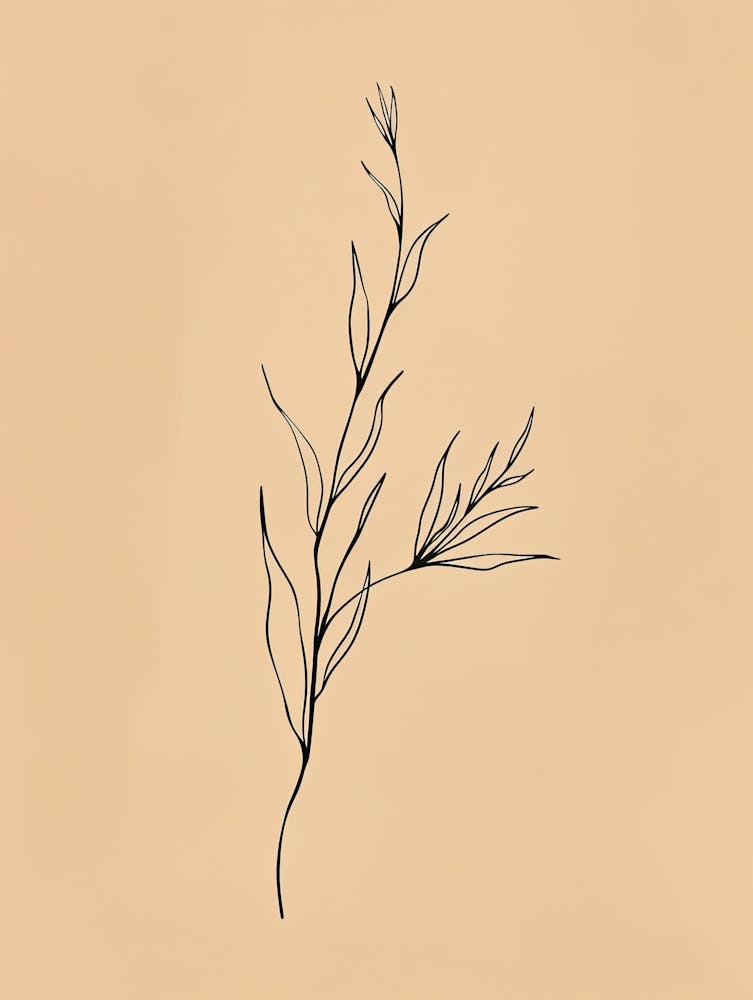 Istanbul Botanical Garden Boho Line Art